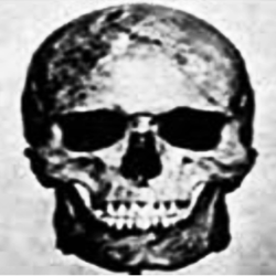 Game thumbnail for Looksmaxxing Tycoon