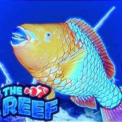 Game thumbnail for THE REEF
