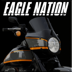 Game thumbnail for Eagle Nation