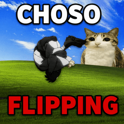 Game thumbnail for CHOSO FLIPPING EXPERIENCE