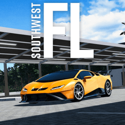 Game thumbnail for Southwest Florida