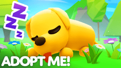 Adopt Me gallery