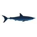 Fisch Poseidon Rod Great White Shark example