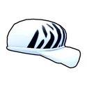 Zebra Cap