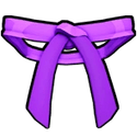 Dojo Belt (Purple)