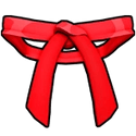 Dojo Belt (Red)