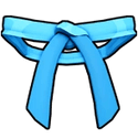 Dojo Belt (Blue)