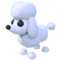 Adopt Me Poodle