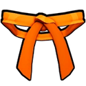 Dojo Belt (Orange)