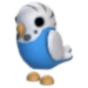 Adopt Me Parakeet