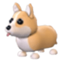 Adopt Me Corgi