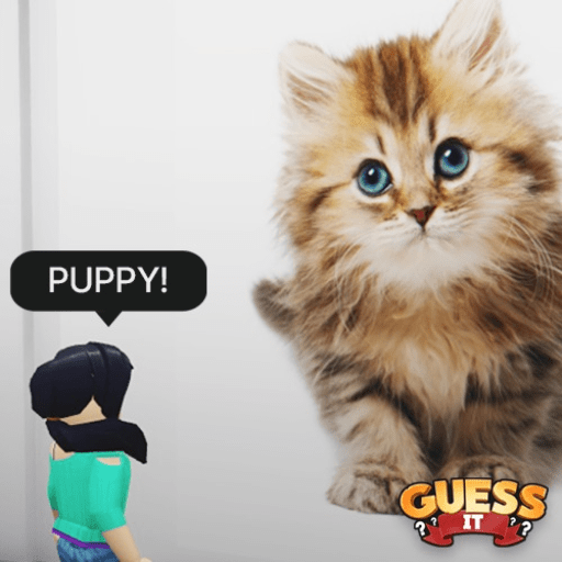 Guess It Images