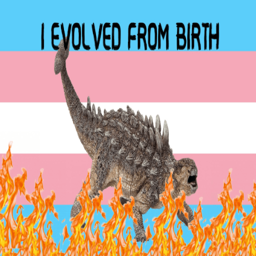 Aggressive Trans Flag