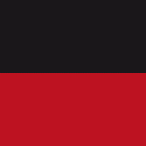 Black and Red Anarchist Flag