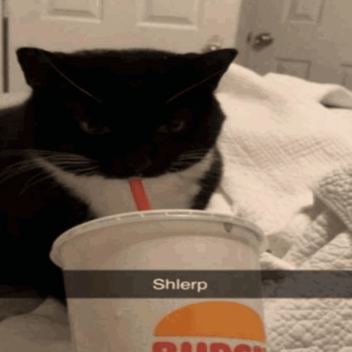Cat drinks Burger King Soda [REAL]