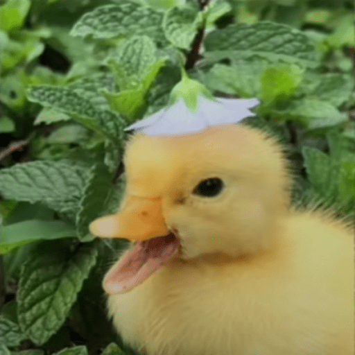 Cute baby duck with a flower hat