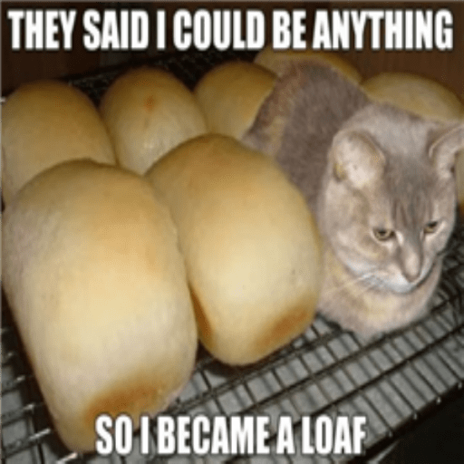 Funny cat meme [200 Takes!]