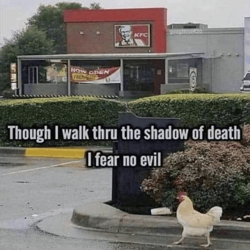 Funny chicken meme!