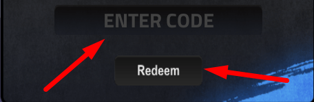 The code redeeming interface in Ultimate Soccer