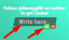 The code redeeming interface in Sonic Race