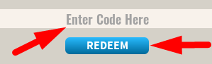 The code redeeming interface in Ride and Drive Simulator