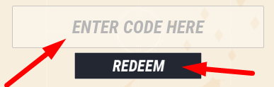 The code redeeming interface in Real Futbol 24