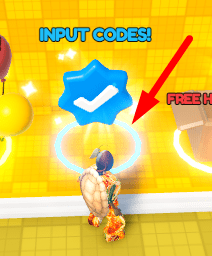 The Input Codes zone in Balloon Simulator