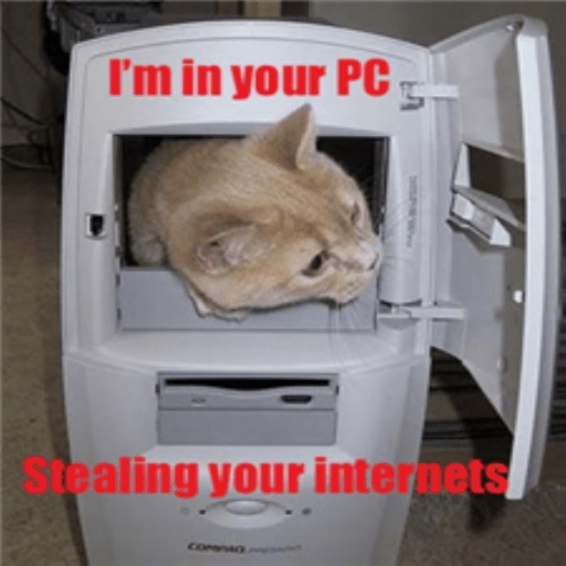 Internet Fail Cat. (Original)