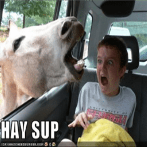 Lol FUnny pic of kid afraid of horse