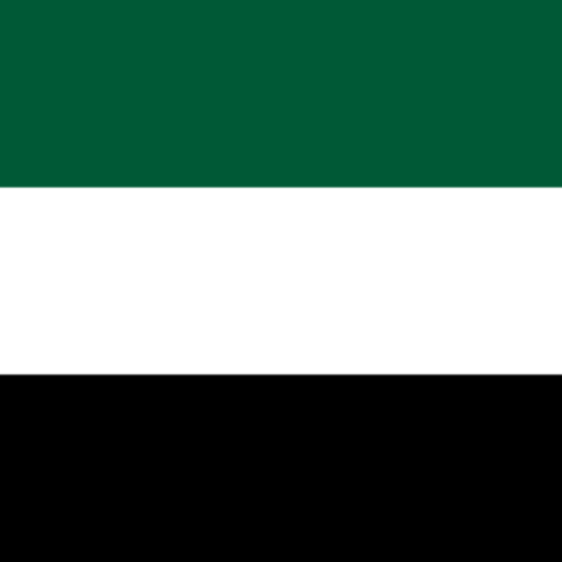 Panjshir Flag of the Northern Alliance