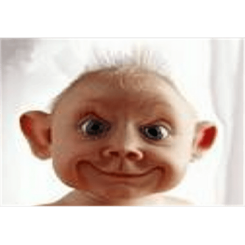 Funniest Roblox decal & image IDs massive list Roblox Den