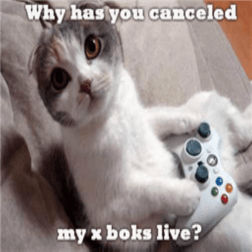 Page 2 - Roblox Cat Image IDs | Roblox Den