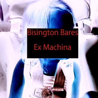 Bisington Bares