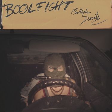 Boolfight