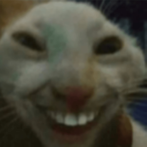 sussy jerma's face cat meme