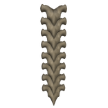 [1.0] A Spine On Your Back