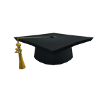 2020 Graduation Cap