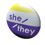 3.0 Pronoun Pin: She / They Non Binary Pin
