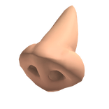A Nose