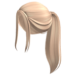 Aesthetic blonde ponytail