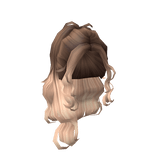 Aesthetic Bronde High Ponytail