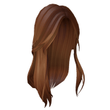 Aesthetic Brown Long Hair