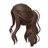 Aesthetic brown wavy ponytail