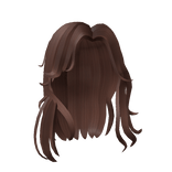 Aesthetic Long Brown Hair