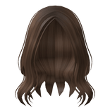 Aesthetic Long Wavy Hair in Brown 