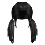 Aesthetic low piggytails in black