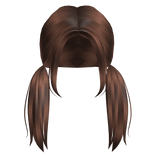 Aesthetic low piggytails in brown