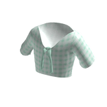 Aesthetic Mint Plaid Top