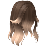 Aesthetic Split Bangs Hair in Brown to Blonde 