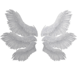 Angel Wings
